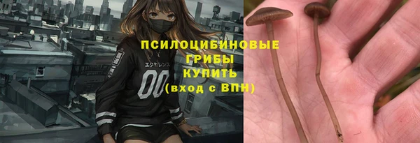2c-b Михайловск