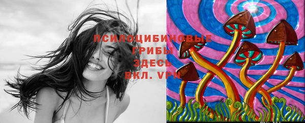 бутират Михайлов