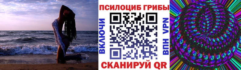 гидра tor  Кущёвская  Псилоцибиновые грибы мицелий 