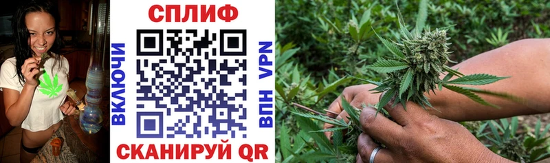 закладка  Кущёвская  Бошки Шишки план 